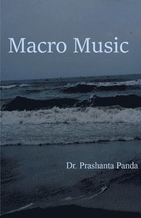 bokomslag Macro Music