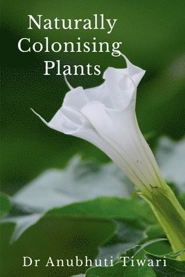 Naturally Colonising Plants 1