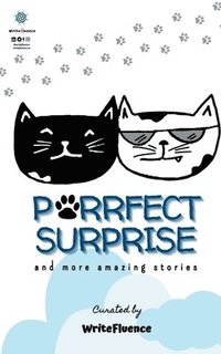 bokomslag Purrfect Surprise