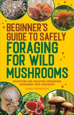 bokomslag Beginner's Guide to Safely Foraging for Wild Mushrooms