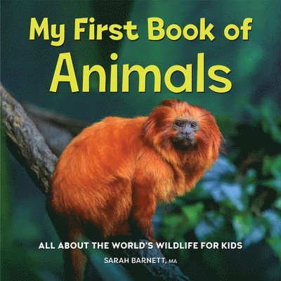 My First Book of Animals: All about the World's Wildlife for Kids 1