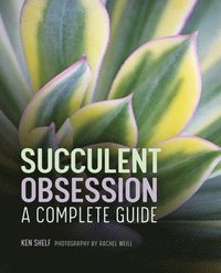 bokomslag Succulent Obsession: A Complete Guide