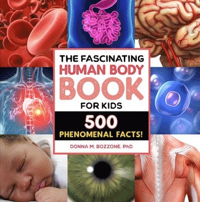 The Fascinating Human Body Book for Kids: 500 Phenomenal Facts! 1