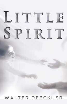 bokomslag Little Spirit