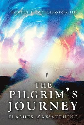 bokomslag The Pilgrim's Journey: Flashes of Awakening