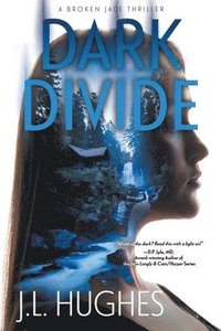 bokomslag Dark Divide