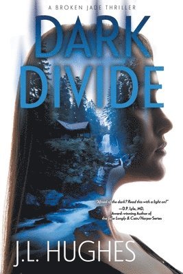 bokomslag Dark Divide