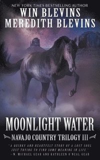 bokomslag Moonlight Water