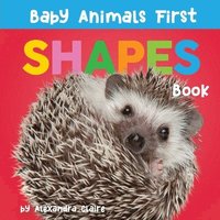 bokomslag Baby Animals First Shapes Book