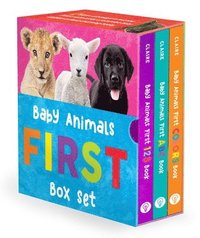 bokomslag Baby Animals First Box Set: 123, ABC, Colors