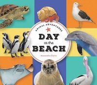 bokomslag Animal Adventures: Day in the Bay