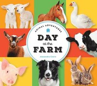 bokomslag Animal Adventures: Day at the Farm