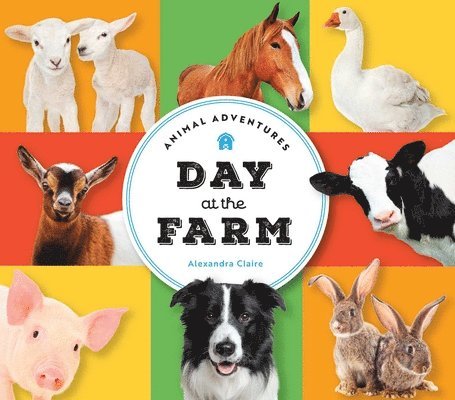 Animal Adventures: Day at the Farm 1