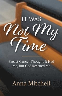 Anna Mitchell - It Was Not My Time, Häftad