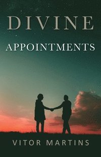 bokomslag Divine Appointments