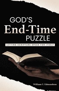 bokomslag God's End-Time Puzzle