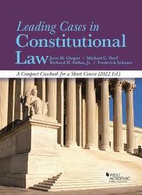 bokomslag Leading Cases in Constitutional Law
