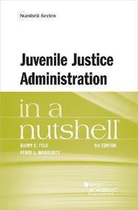 bokomslag Juvenile Justice Administration in a Nutshell