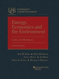 bokomslag Energy, Economics and the Environment