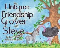 bokomslag Unique Friendship Of Grover And Steve
