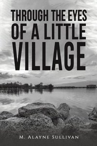 bokomslag Through the Eyes of a Little Village