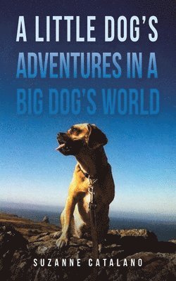 bokomslag A Little Dog's Adventures in a Big Dog's World