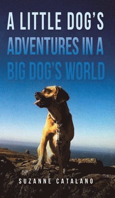 bokomslag A Little Dog's Adventures in a Big Dog's World