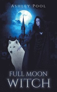 bokomslag Full Moon Witch