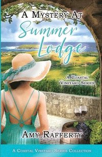bokomslag A Mystery At Summer Lodge
