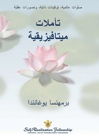 bokomslag Metaphysical Meditations - Arabic