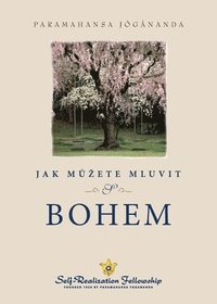 bokomslag Jak m&#367;zete mluvit s Bohem (How You Can Talk With God--Czech)