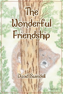 bokomslag Wonderful Friendship