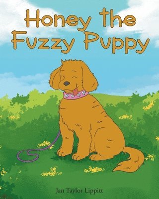 Honey the Fuzzy Puppy 1