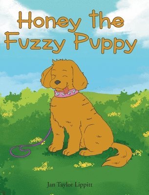 Honey the Fuzzy Puppy 1