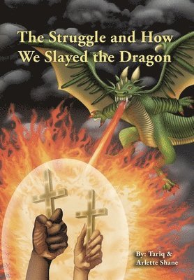 bokomslag Struggle and How We Slayed the Dragon