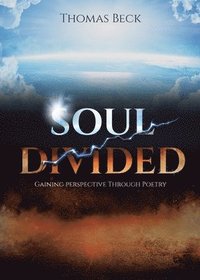 bokomslag Soul Divided
