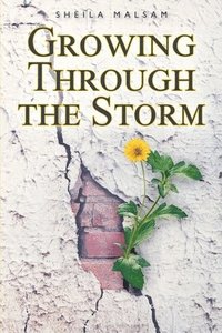 bokomslag Growing through the Storm