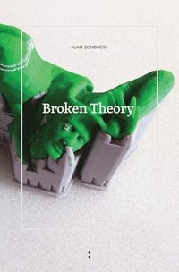 bokomslag Broken Theory