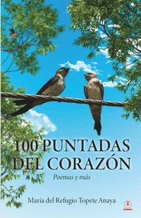 bokomslag 100 puntadas del corazn