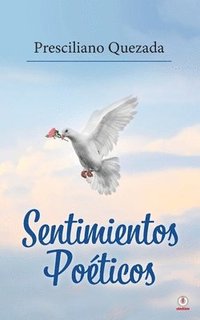 bokomslag Sentimientos Poéticos