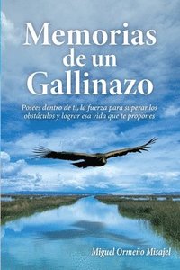 bokomslag Memorias de un gallinazo