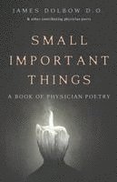 bokomslag Small Important Things
