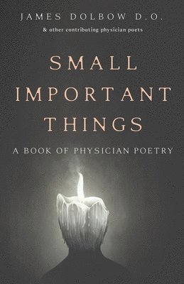 bokomslag Small Important Things