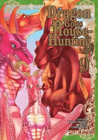 bokomslag Dragon Goes House-Hunting Vol. 9