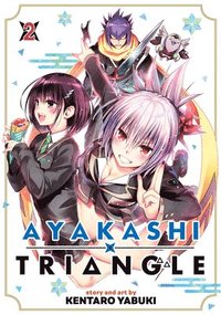 bokomslag Ayakashi Triangle Vol. 2