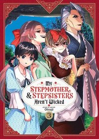 bokomslag My Stepmother and Stepsisters Aren't Wicked Vol. 3