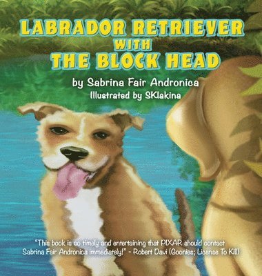 Labrador Retriever With The Block Head 1