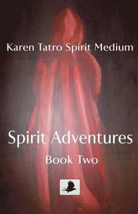 bokomslag Spirit Adventures Book 2