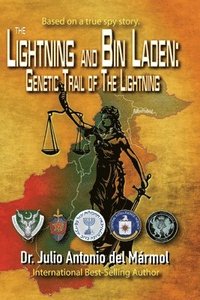bokomslag The Lightning and bin Laden