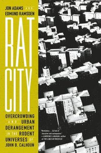 bokomslag Rat City